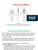 Skeletal System Presentaion