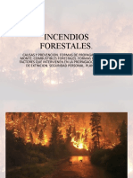 Incendios Forestales