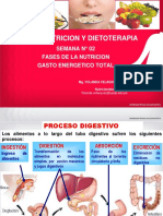 2 Fases de La Nutricion y Gasto Energetico