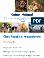 Aula Reino Animal Poriferos e Cnidarios