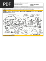 3° Los Ecosistemas.