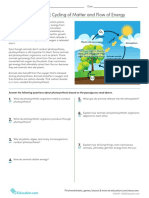 Photosynthesis Cycling of Matter and Flow of Energy