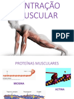 Aula+11+ +Contração+Muscular