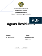 Aguas Residuales