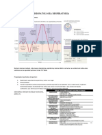 Fisiopatologia Respiratoria