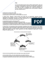 Enem/Biologia - Bioenergética