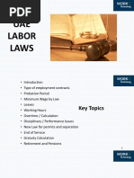 Labor Law Updates2022