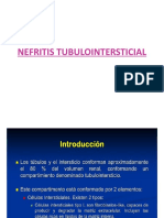 Nefritis Tubulointersticial