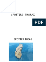 3.thorax Gross Spotters