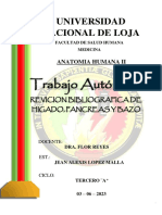 Trabajo Autonomo Higado