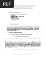 Informe Psicologico