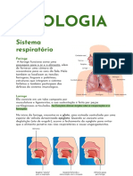 Revisão - Sistema Respiratório e Urinário