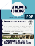 Patología Forense