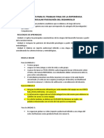 Indicaciones para El Trabajo Final de La Experiencia Currricular Psicología Del Desarrollo