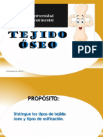 Tejido Oseo