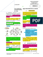 Bio 05 Teoria