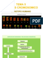 Tema 5 - I Parte