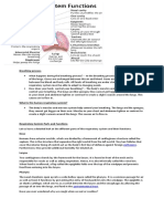 Breathing Process PDF