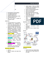 Trematodes - PreFinal