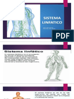 Sistema Linfatico