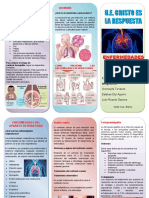 Triptico Enfermedades Del Aparato Respiratorio