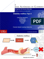 Diabetes Mellitus Tipo 2