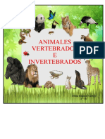 Album Eertebrados e Invertebrados