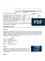 Neurotransmitter