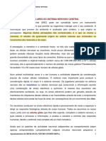 BNE - 2 Aula - Componentes Celulares Do Sistema Nervoso I