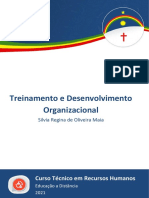 Ebook - Treinamento e Desenvolvimento Organizacional (ETEPAC 2021)