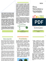 Campo Formativo ENS. Fase 3 PDF