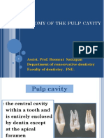 Anatomy of the pulp cavity กย 2562-1