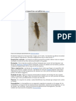 Respiración en Insectos Acuáticos: Editar