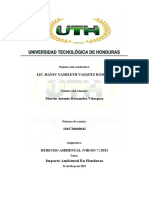 Tarea 1 Derecho Ambiental, Impacto Ambiental en Honduras