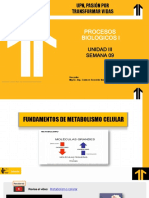 Sesión 09 - Metabolismo Celular - E
