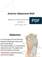 Abdo Pelvis - Lecture 01 - Anterior Abdominal Wall