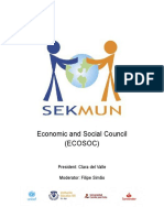 Ecosoc Guide1