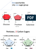 Carbohydrates