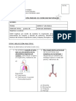 Evaluación (Adecuada) Unidad 3 Cincias Naturales 5° Año Básico