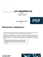 Mecanismos Adaptativos