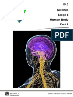 TP24 - Human Body SIGMOD Part 2