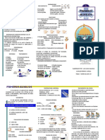 Primeros Auxilios Triptico Montessori 2023