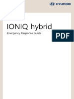 Ioniq Hev Erg