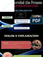 2 Expo - DOLOR E INFLAMACION