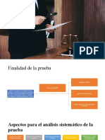 La Prueba - Maldonado Aldana Francisco