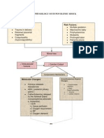 New!!Pathophysiology of Hypovolemic Shock Revised