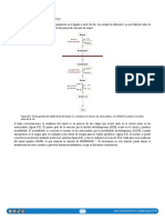 9.02 Metabolismo Del Alcohol