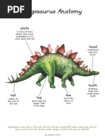 Dino Anatomy