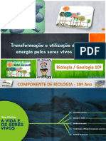 B10 06 Tema 3 Transformação e Utilização de Energia Pelos Seres Vivos Parte 1 2015 2016