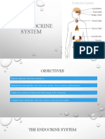 Endocrine System